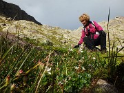 Spettacolo ai laghi alti di Val Sanguigno : Stagno della Corna, Laghi Alti di Salina, Lago Gelato, il 23 settembre 2014 - FOTOGALLERY